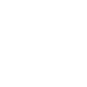 salon-logo-white